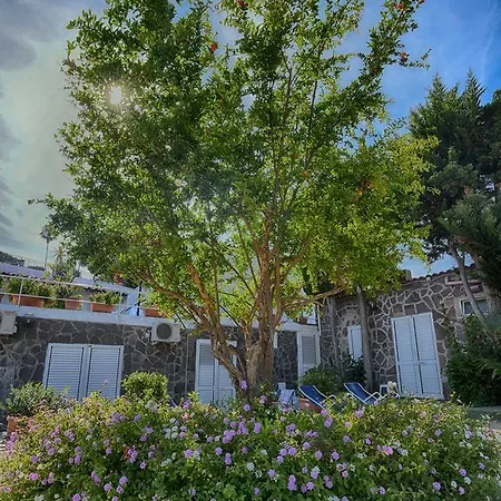 호텔 Parco Cartaromana 이스키아