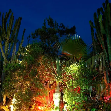 Parco Cartaromana Ίσκια